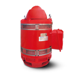 ĐỘNG CƠ ĐIỆN TRỤC RỖNG LẮP ĐỨNG